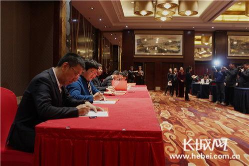 河北银行业最新爆料,揭秘行业变革与风险挑战