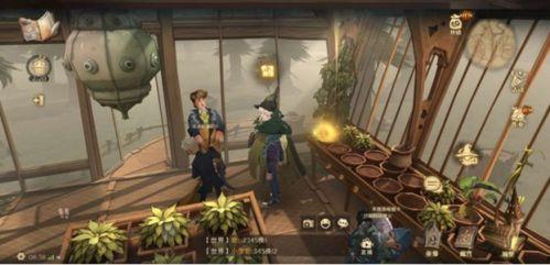 魔法觉醒9最新爆料图片,揭秘全新爆料，神秘魔法世界即将展开